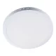 STELLAR LED PANEL KEREK FELÜLETRE 24W 6400K