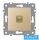 ELDLUX ELDGROUND 1×RJ45 Cat.6 UTP aljzat Arany